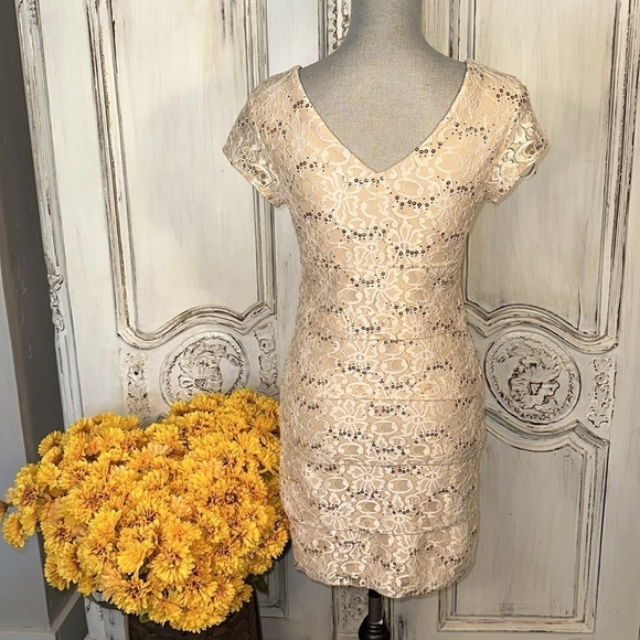 Scarlett Tan Lace and Sequins Short Sleeve Special Occassion Party Dress Size 6 - Picture 5 of 11